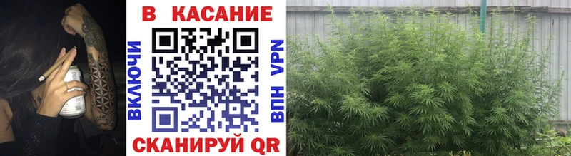 Цена Печоры КОКАИН  Мефедрон  ГАШИШ  A-PVP  Марихуана 