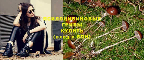 индика Алзамай