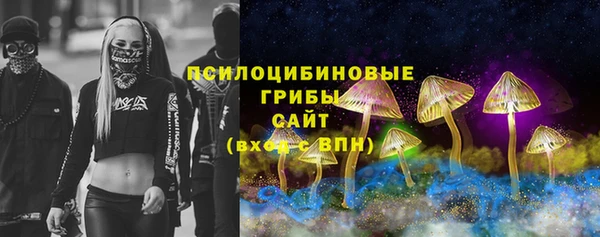 индика Алзамай