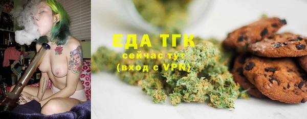 индика Алзамай