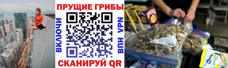 Псилоцибиновые грибы Cubensis  Печоры 